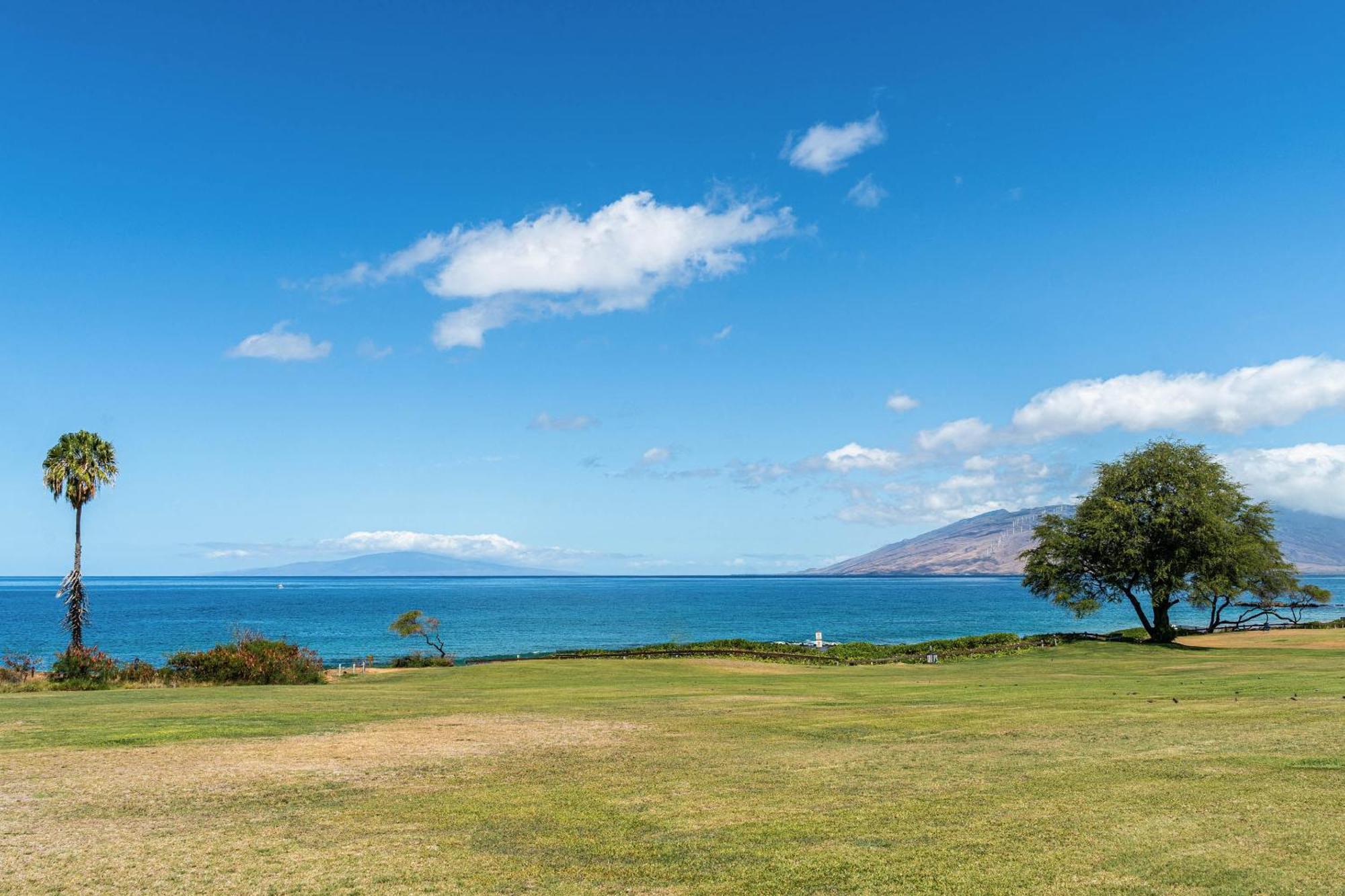 Maui Banyan Q-109 Apartment Wailea  Exterior photo